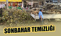 Büyükşehir'den Sonbahar Temizliği