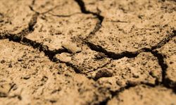 Samsun'da toprak altında kalan işçi yaralandı