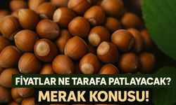 Bugün Fındık Fiyatları Kaç TL Oldu? Bugün En Yüksek Fındık Fiyatı Hangi İlçede?
