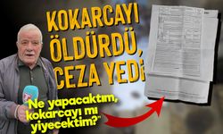 Trabzon'da Böyle Ceza Görülmedi: Hayvansever Müfettiş Kokarca İçin Ceza Yazdı!