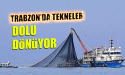 Trabzon'da Tekneler Dolu Dönüyor! Hamsi Bereketi...