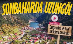 Uzungöl’de sonbaharın büyüsü: Doğa altın ve kızıl renklere büründü