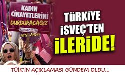 Türkiye İsveç'ten İleride! TÜİK'in Verileri Gündem Oldu