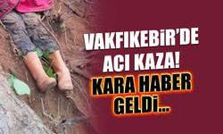 Vakfıkebir Yaylasında Ağaç Kazası: İşçi Hayatını Kaybetti