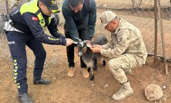 Siirt Jandarmasından Türkiye’ye Örnek Uygulama! Trafik Kazalarını Önleyecek Yeni Sistem Devrede
