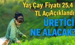 Çay Üreticisi 2025’te Ne Alacak? Yaş Çay Fiyatı 25,44 TL Açıklandı