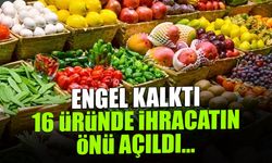 Engel Kalktı, 16 Üründe İhracatın Önü Açıldı...