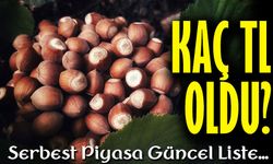 Bugün Fındık Fiyatları Kaç TL Oldu? Serbest Piyasa Güncel Liste...