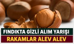 Fındıkta Gizli Alım Yarışı: Bugün Rakamlar Alev Alev