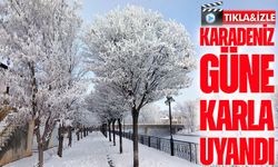 Bayburt’un Arpalı Beldesi güne karla uyandı: Yollar beyaza büründü