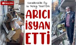 Anzer Yaylası’nda Ayı Dehşeti: 30 Peteği Telef Etti, Arıcı İsyan Etti