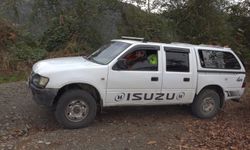 Ayı Popülasyonu Kontrolden Çıktı: Çiftçiler Özel İzinle Av Talep Ediyor