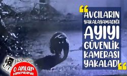 Rize'de avcıların yakalayamadığı ayı, güvenlik kamerasına yakalandı