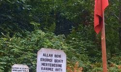 Şalpazarı'ndaki Şehit Mezarlığı İhmal Edildi: Nusret Özendi’den Yetkililere Çağrı