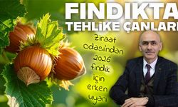 Giresun Ziraat Odası’ndan 2026 fındık mahsulü için erken uyarı: Rekolte düşebilir