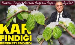 Trabzon Ticaret Borsası Başkanı Ergan: Kar yağışı fındığa olumlu yansıdı