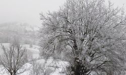 Samsun'un Asarcık ilçesine mevsimin ilk karı düştü
