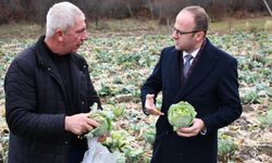 Alucra Kaymakamı Azman'dan pancar üreticilerine ziyaret