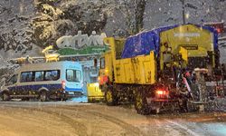 Artvin'de kar yağışı etkili oldu