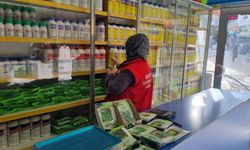 Salıpazarı'nda bitki koruma ürünü bayileri denetlendi