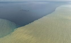 Yağışın ardından denizin rengi kahverengiye döndü