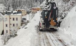 Zigana Dağı'nda kar yağışı etkili oldu
