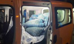 300 kilo kaçak midye ele geçirildi