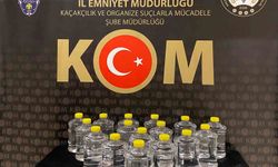 Bayburt'ta Roma dönemine ait 15 adet sikke ve 40 litre kaçak alkol ele geçirildi