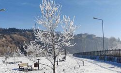 Göle eksi 16 dereceyi gördü, ağaçlar kırağı tuttu