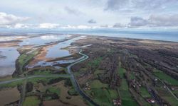 Kızılırmak Deltası'nda yer altı suları beslenemiyor: Her yıl su seviyesi düşüyor