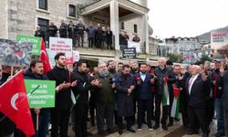 Ordu'da Filistin'e destek, İsrail'e tepki