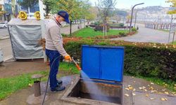 Ordu'da haşerelere karşı kışlak çalışması başlatıldı