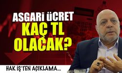 Asgari Ücret Kaç TL Olacak? HAK-İŞ'ten Kritik Çağrı