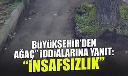 Büyükşehir'den Ağaç Katliamı İddialarına Yanıt! "İnsafsızlık...