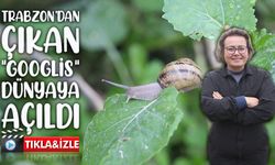 Trabzon’dan dünyaya “Googlis”: Salyangozdan kozmetik ve havyar ihracatı