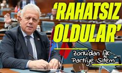 Zorlu’dan AK Parti’ye Tepki: “Neden Bu Kadar Rahatsız Oldunuz?”