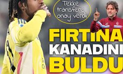 Kanatlara taze kan: Trabzonspor'da Fatih Tekke transfere onay verdi, kadroya katmak istiyor