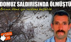 Domuz Saldırısında Ölmüştü; Avcının ölümü için inceleme başlatıldı