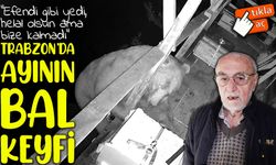 Trabzon’da ayının bal keyfi: Balkona tırmandı, kovanları boşaltıp afiyetle yedi