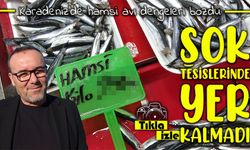 Hamsi bolluğu Karadeniz’de av baskısını artırdı: Şok tesislerinde yer kalmadı