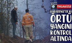 Artvin’de korkutan örtü yangını: Yerleşim yerlerine sıçramadan durduruldu