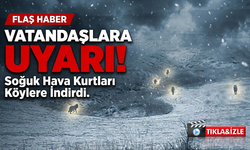 Köylerde Tedirgin Eden Görüntüler: Kurt Sürüleri Yerleşim Alanlarına İndi