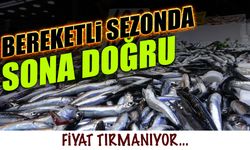 Bereketli Sezonda Sona Doğru!  Fiyatlar Tırmanıyor