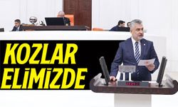 AK Parti Trabzon Milletvekili Büyükaydın: Nükleer Enerji Türkiye’nin Enerji Güvenliği İçin Stratejik Öneme Sahip