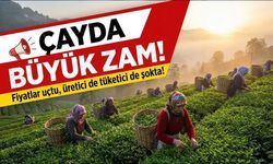 Kuru çay fiyatları bugün ne kadar, hangi markette hangi marka çay kaç TL?