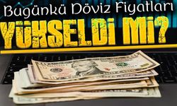 Dolar Yükseldi Mi? Euro Düştü Mü? Bugünkü Döviz Fiyatları
