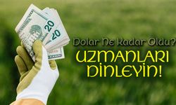 Bugün Dolar Ne Kadar Oldu? Uzmanlar Herkesi Uyardı!