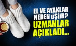 Eller ve Ayaklar Neden Üşür? Uzmanlar Açıkladı...