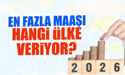 En Fazla Maaş Veren Ülkeler Hangileri? Veriler Açıklandı...