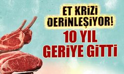 Et Krizi Derinleşiyor! 10 Yıl Geriye Gitti...